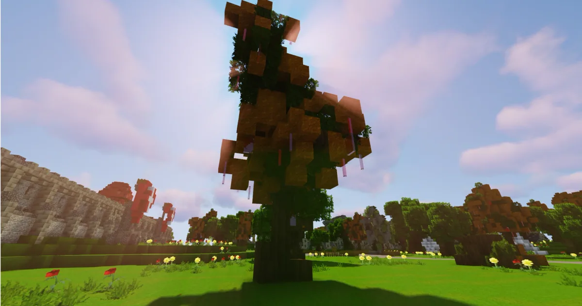 A maple tree